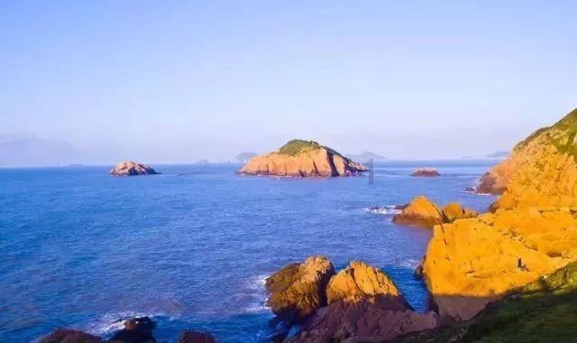 牛油果面包